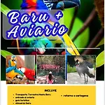 cerca del centro, practico, precio justo, trabajo o turismo