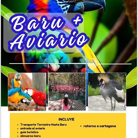 Cerca Del Centro, Practico, Precio Justo, Trabajo O Turismo
